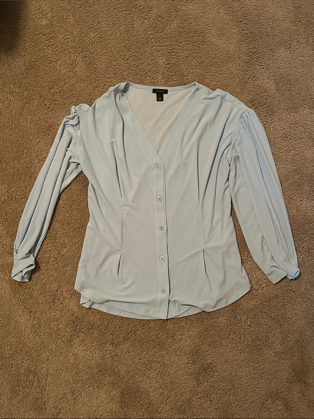 Halogen Pale Blue V-Neck Button-Front Blouse